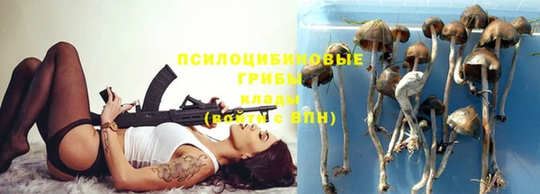 прущие крисы Каменка