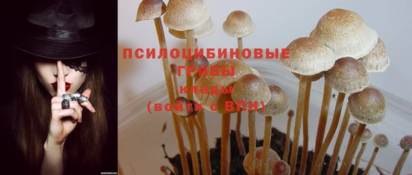 прущие крисы Каменногорск
