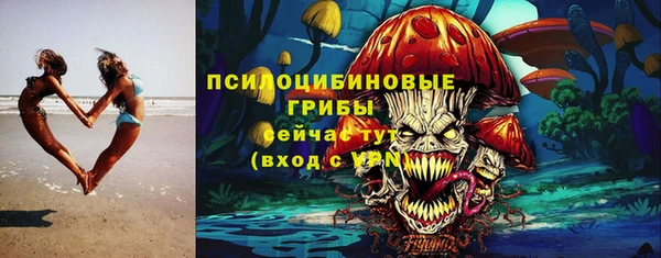 соль ск Каменск-Шахтинский