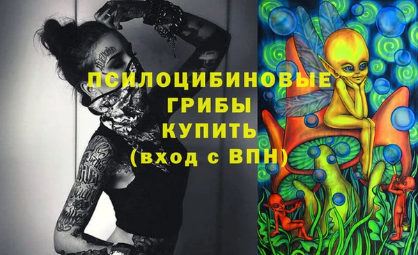 прущие крисы Каменка