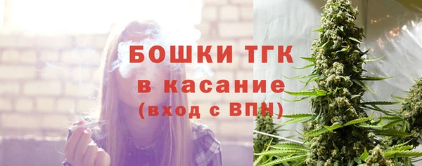 прущие крисы Каменка